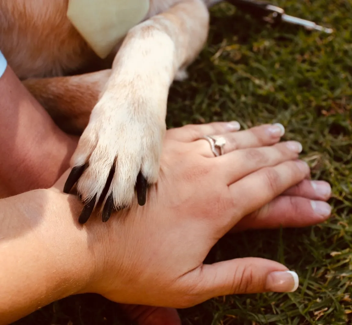 Crash Bandicoot, our dog