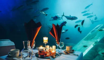 Dinner at the Aquarium